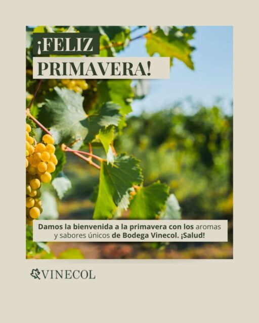 ​¡La primavera florece, y en Bodega Vinecol lo celebramos con vos! 🥂 

Te invitamos a brindar por los días más largos y la naturaleza en su máximo esplendor.