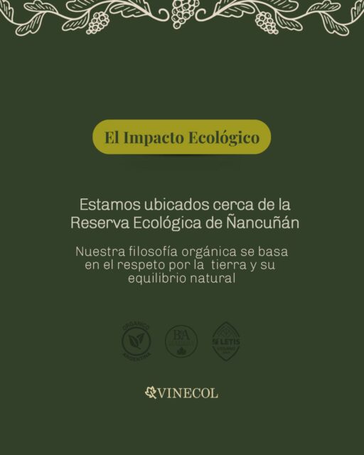 En VINECOL, nuestro compromiso va más allá del vino... 

Protegemos la Biodiversidad y la salud de un Suelo Sano, utilizando solo la Agua pura de deshielo de Los Andes en nuestro viñedo.

Vos… ¿Cómo te llevás con lo orgánico?🌿💚

Contanos en los comentarios

​#BodegaVinecol
​#Vinecol
​#VinoArgentino
​#BodegaMendocina
​#VinoOrgánico
​#Mendoza ​#TurismoEnologico