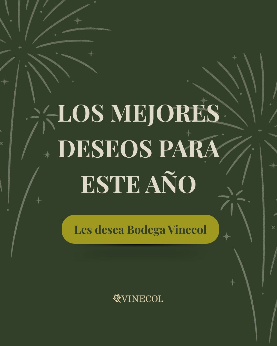 Los mejores deseos para este nuevo año
Les desea Bodega Vinecol ✨️