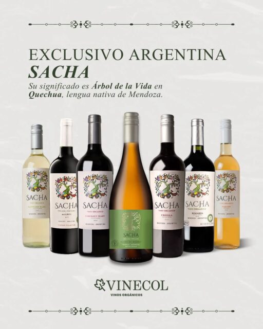 Desde el corazón de Argentina nace una línea exclusiva que honra la tierra y sus raíces
Sacha, que significa “Árbol de la Vida” en quechua —lengua nativa de Mendoza—, representa el equilibrio perfecto entre naturaleza, historia y vino. 🌿
De baja producción y con mínima intervención en su vinificación, estos vinos orgánicos resaltan la pureza del terroir a través de varietales no tradicionales, logrando expresiones auténticas, elegantes y sorprendentes.
Cada botella de Sacha no solo es un vino…
es un momento único e inolvidable en cada copa 🍷✨
#viñedo #vinosnaturales #organicos #mendoza