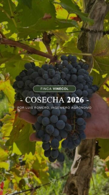La cosecha 2026 ya empezó a latir en cada racimo 🍇✨
En Vinecol celebramos la nueva vendimia de nuestro Malbec con la misma convicción de siempre: respeto por la tierra, cosecha manual y uvas 100% orgánicas que expresan la esencia de nuestro viñedo
Malbec 2026 ya está en camino… y promete una añada inolvidable 🍷🌿
#bodegavinecol #vinosorganicos #vinos #cosecha