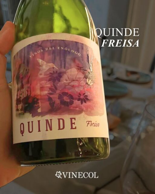 Un vino distinto, con historia y carácter propio 🍷

Quinde nace en nuestras 5 hectáreas en Mendoza, explorando nuevos caminos con una uva poco tradicional: Freisa, originaria del Piamonte italiano 🇮🇹

De la mano de nuestro enólogo Hugo Zamora, creamos una partida limitada de solo 4.000 botellas, pensada para quienes buscan descubrir algo único en cada copa 

Quinde no es solo un vino, es una colección que celebra lo diferente 🍇

¿Ya lo probaste?