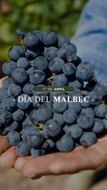 Hoy celebramos el Día del Malbec como se merece: levantando la copa y disfrutando cada sorbo🍷✨

En Vinecol brindamos con algo especial… nuestro Sacha Malbec licoroso, intenso y con carácter único, perfecto para quienes buscan una experiencia distinta.

Porque el Malbec no es solo un vino, es parte de nuestra identidad, de nuestros encuentros y de esos momentos que se vuelven inolvidables.

📍Encontranos en @cosecha1974_arg 🍇