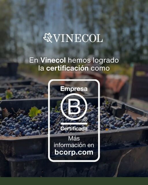 Nos alegra compartir una noticia muy importante para Vinecol: hemos logrado la certificación como Empresa B🙌🏻
🍇 Somos una empresa familiar cuyo proyecto comenzó en 1996, con una visión que nos acompaña desde nuestros inicios: elaborar vinos orgánicos, cuidar nuestros viñedos y trabajar con una mirada responsable, transparente y de largo plazo ✨
🍷 Haber sido una de las primeras bodegas orgánicas certificadas de Argentina marcó nuestro camino y nuestra forma de entender el vino
Hoy, esta nueva certificación reafirma nuestros valores y nuestro compromiso con los pilares que guían a las Empresas B: generar impacto positivo, actuar con propósito, cuidar a las personas, contribuir a la comunidad, proteger el ambiente y trabajar con transparencia 🥂❤️
#vinecol #certificación #empresab #organicos #argentina🇦🇷