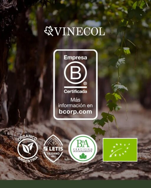 Desde que comenzamos este camino, elegimos hacer las cosas con compromiso: elaborar vinos orgánicos, cuidar nuestra tierra y trabajar pensando en las personas y el ambiente 🌿
Esta certificación representa mucho más que un reconocimiento. Es la confirmación de que el propósito que nos guía desde el primer día sigue siendo el mismo: generar un impacto positivo en cada paso que damos 🙌🏻
Gracias a quienes nos acompañan y creen en una forma de hacer vino más consciente. Brindemos por este nuevo capítulo🍷💚
#vinecol #mendoza #vinosorganicos #certificación