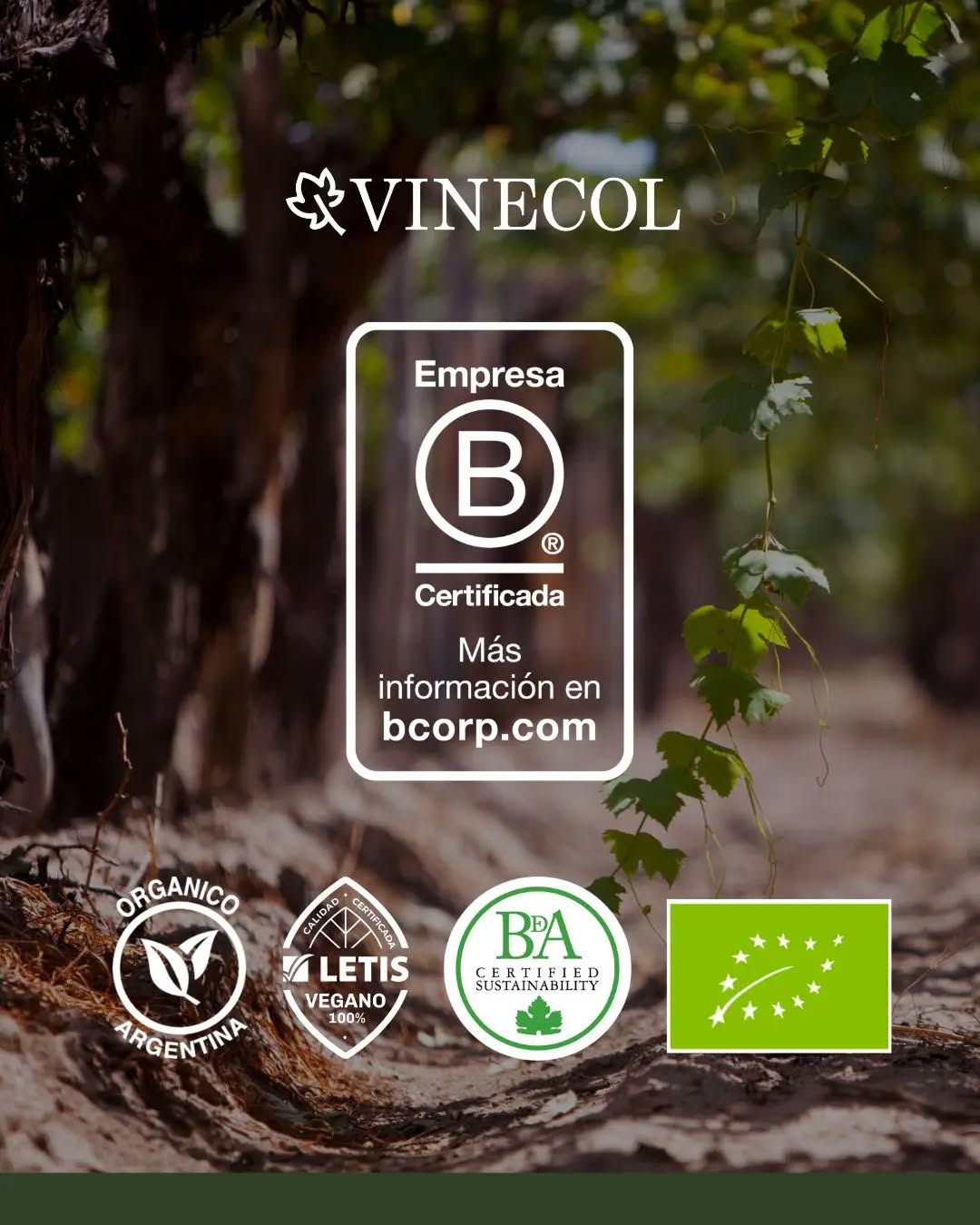Desde que comenzamos este camino, elegimos hacer las cosas con compromiso: elaborar vinos orgánicos, cuidar nuestra tierra y trabajar pensando en las personas y el ambiente 🌿
Esta certificación representa mucho más que un reconocimiento. Es la confirmación de que el propósito que nos guía desde el primer día sigue siendo el mismo: generar un impacto positivo en cada paso que damos 🙌🏻
Gracias a quienes nos acompañan y creen en una forma de hacer vino más consciente. Brindemos por este nuevo capítulo🍷💚
#vinecol #mendoza #vinosorganicos #certificación