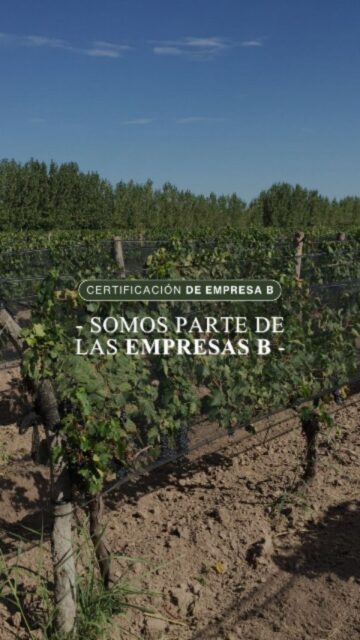 🌱 Ser Empresa B es mucho más que una certificación. Es una forma de hacer las cosas @sistemabarg

En Vinecol, nos convertimos en Empresa B porque creemos que hacer vinos también significa asumir un compromiso con las personas, la comunidad y el ambiente🍷

¿Y qué significa para nosotros?

✨ Compromiso real con un impacto positivo
🍇 Mostrar todo lo que hay detrás de la marca
🌎 Conectar con consumidores más conscientes
💚 Diferenciarnos como empresa a través de un propósito que va más allá
🌱 Transformar ese propósito en una historia que queremos seguir construyendo

Porque no hacemos vino solamente para disfrutar el presente. Lo hacemos también pensando en lo que podemos dejarle a la comunidad en el futuro

#vinecol #vinosorganicos #certificaciónb #sustentabilidad