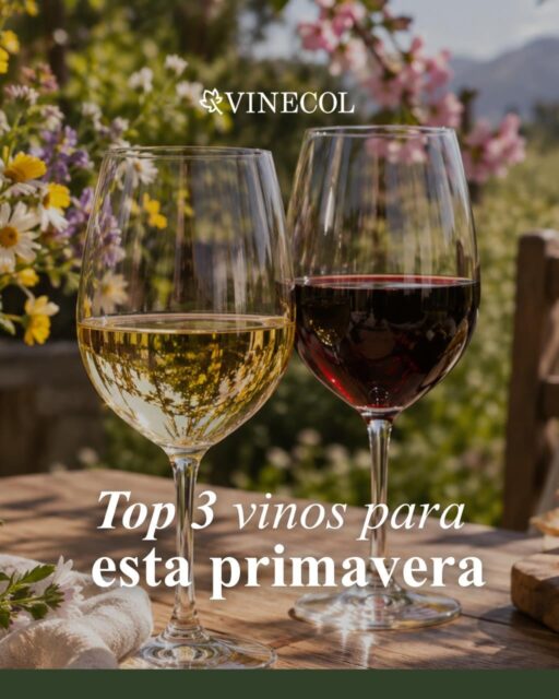 TOP 3: Vinos para disfrutar esta primavera 🌸 3 estilos, 3 formas de brindar

Chinchero Torrontés
🌿 Para una tarde al aire libre
Ligero · fresco · aromático 

Quinde Freisa
💜 Un tinto diferente para los que buscan frescura
Fresco · suave · auténtico 

Sacha Naranjo
🧡 Para salir de lo tradicional
Frutado · fresco · con personalidad

Porque los días lindos también se brindan 🍷
¿Cuál elegís para esta primavera? 🌸

#vinosorganicos #primavera #vinecol #mendoza #vinosnaturales