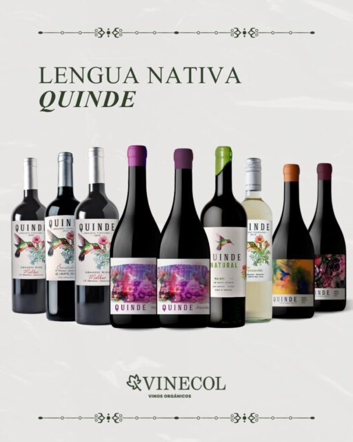 Quinde: vinos que se animan a salir de lo común🍷
Una colección de cepas poco convencionales, nacida en Mendoza y elaborada con mínima intervención para dejar que cada variedad exprese su verdadera identidad 🌱
Pequeñas producciones. Mucha personalidad.
Vinos para descubrir algo diferente 🍇🙌🏼
#quinde #vinosnaturales #sellosorganicos #mendoza #lenguanativa