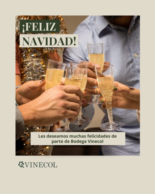 ¡Felicidades! 🥂
Que el espíritu navideño llene sus hogares de paz, alegría y, por supuesto, de los mejores Vinos de Bodega Vinecol.

Gracias por acompañarnos este año.
¡Salud por los momentos compartidos!
¡Felices Fiestas!
#FelizNavidad #BodegaVinecol #BrindisNavideño #VinosItalianos 
#cabellosaludable