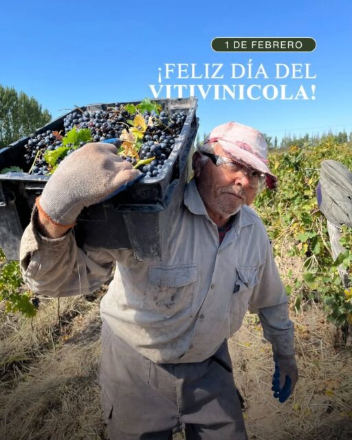 Cada racimo guarda una historia, cada vino refleja esfuerzo, paciencia y amor por la tierra. 🍇

Hoy reconocemos a quienes hacen posible este camino, a quienes trabajan con respeto y pasión.

Gracias por ser el alma de Vinecol 🙌🏻

¡Feliz Día del Trabajador Vitivinícola!