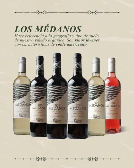 Los Médanos, un vino que habla de la geografía única de nuestro viñedo orgánico y de esos suelos que imprimen carácter en cada racimo 🍇
Joven, expresivo y con el toque justo de roble americano que aporta equilibrio y personalidad 🍷
Auténtico origen, mínima intervención, máximo disfrute
#vinos #organicos #malbec #blancos
