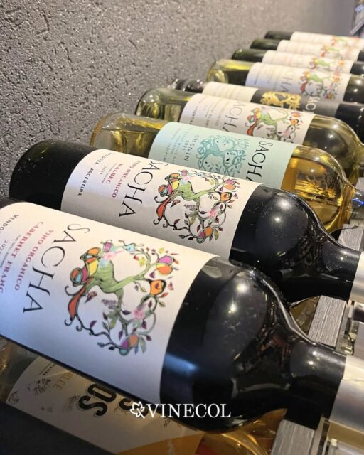 Descubrí Sacha, nuestra línea exclusiva 🍷🍇
Vinos de edición limitada, con personalidad propia y un carácter que los hace únicos ✨
¡Una propuesta pensada para quienes buscan ir un paso más allá! 👌🏻
📍Encontranos en @cosecha1974_arg