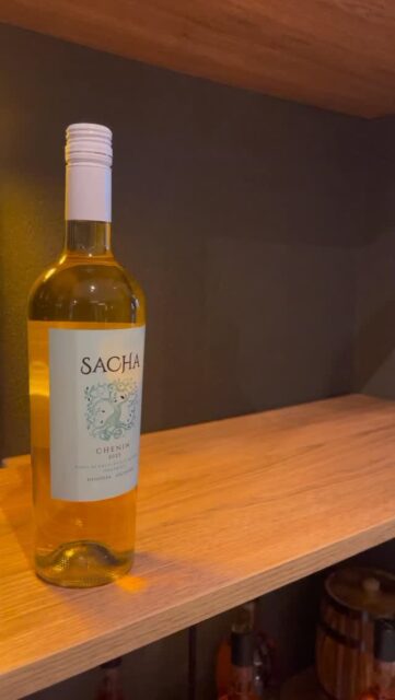 Si todavía no conocés Sacha… estás a un brindis de cambiar eso 🍷

Una línea de vinos con actitud, sabor y mucha personalidad 🍇

Elegí tu favorito y dejá que hable por vos 🙌🏻