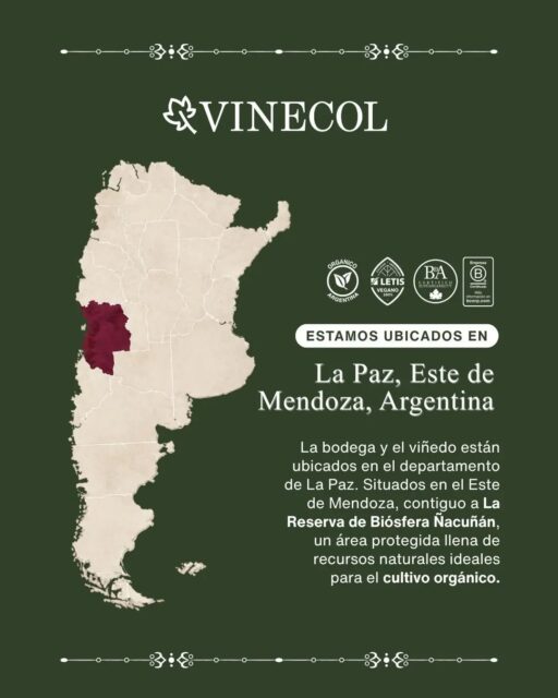 Hay lugares donde el vino nace con una identidad única 🍇🍷
📍En Vinecol, nuestra bodega y viñedos se encuentran sobre la Ruta Nacional N.º 7, Km 903, en La Paz, Mendoza, junto a la Reserva de Biósfera Ñacuñán.
Un entorno privilegiado que nos brinda las condiciones ideales para elaborar vinos orgánicos de la más alta calidad 🙌🏻
#vinecol #mendoza #argentina🇦🇷 #vinosorganicos