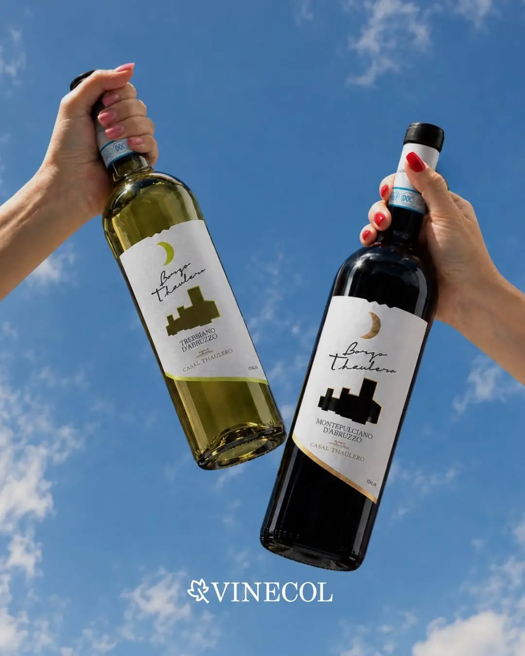 🍷 Dos vinos. Una región con mucho para contar 🇮🇹
Desde las tierras de Abruzzo llegan dos expresiones bien diferentes:
🍇 Montepulciano d’Abruzzo, intenso, profundo y con carácter
🍇 Trebbiano d’Abruzzo, fresco, ligero y lleno de frescura
Dos formas de conocer Italia a través del vino 🍷
#vinecol #italianwine #abruzzo #montepulciano #trebbiano
